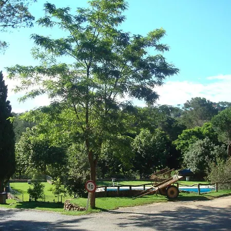 Safari Tent On A Near